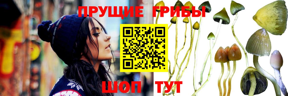 Анапа  Галлюциногенные грибы Psilocybe  Вход с VPN  Псилоцибиновые грибы прущие грибы 